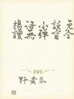 杨洛小说免费阅读无弹窗全文