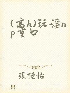 (高h)玩淫np重口