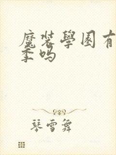 魔装学园有第二季吗封面