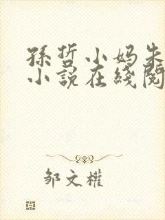 孙哲小妈朱颜的小说在线阅读