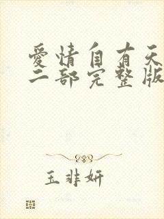 爱情自有天意第二部完整版