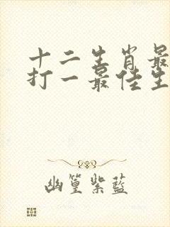 十二生肖最实际打一最佳生肖