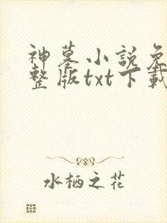 神墓小说免费完整版txt下载