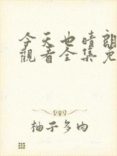 今天也晴朗在线观看全集免费播放封面