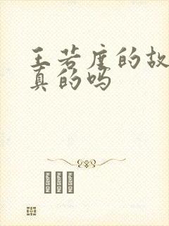 王若度的故事是真的吗