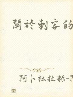 关于刺客的小说