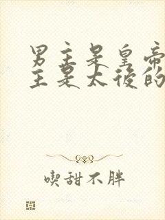 男主是皇帝,女主是太后的小说