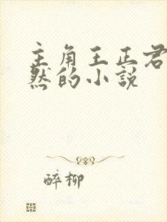 主角王正君李依然的小说