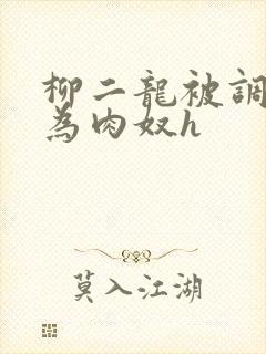 柳二龙被调教沦为肉奴h