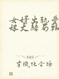 女婿出轨爱上母娘大结局韩剧封面