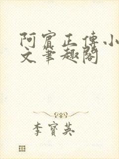 阿宾正传小说全文笔趣阁