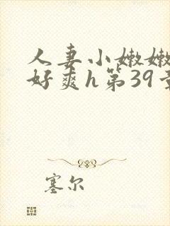 人妻小嫩嫩好紧好爽h第39章