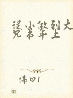 从小做到大骨科兄弟年上