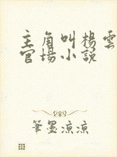 主角叫杨云风的官场小说