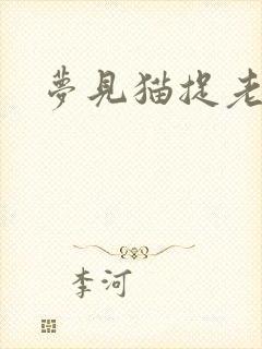 梦见猫捉老鼠封面