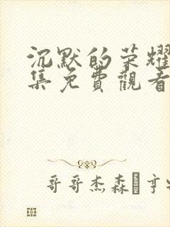 沉默的荣耀22集免费观看封面