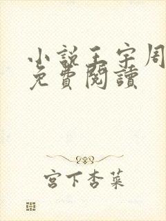 小说王宇周美琴免费阅读