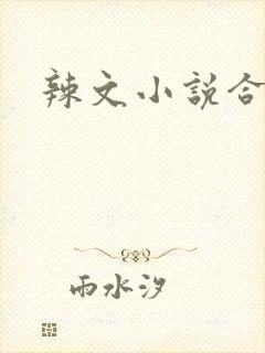 辣文小说合集封面