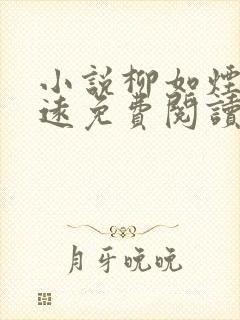 小说柳如烟陆明远免费阅读