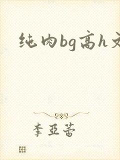 纯肉bg高h文