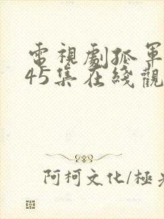 电视剧孤军英雄45集在线观看免费