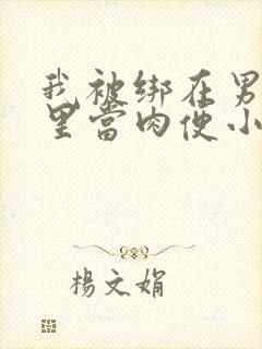 我被绑在男公厕里当肉便小说封面