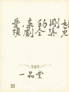 爱,来的刚好电视剧全集免费观看封面