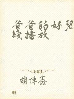 爸爸的好儿子在线播放