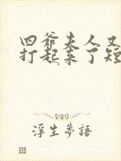 四爷夫人又和人打起来了短剧全集免费观看