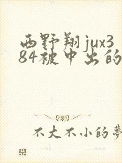 西野翔jux384被中出的人妻