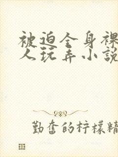 被迫全身裸露供人玩弄小说