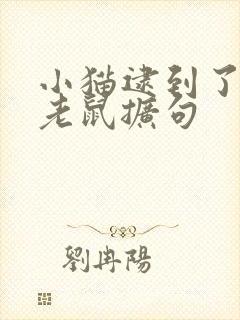 小猫逮到了一只老鼠扩句