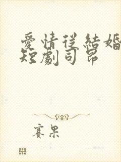 爱情从结婚开始短剧司昂