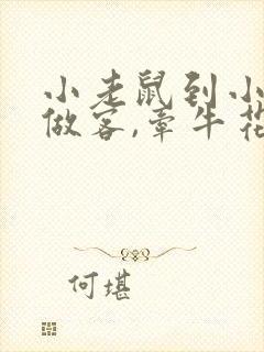 小老鼠到小鸟家做客,牵牛花看图写话