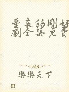 爱来的刚好电视剧全集免费