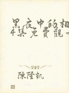 黑夜中的相拥24集免费观看