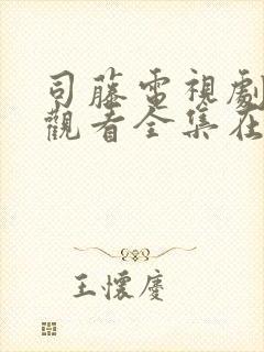 司藤电视剧免费观看全集在线观看