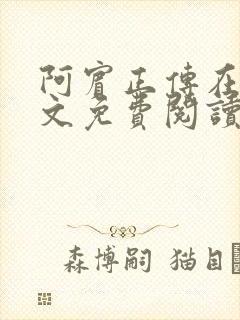 阿宾正传在线全文免费阅读无删减