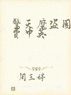 惊天魔盗团2免费中英