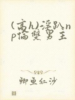 (高h)淫趴np伦双男主封面