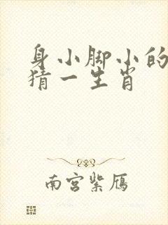 身小脚小的动物猜一生肖封面