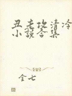 丑老攻清冷美人小说合集