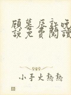 顾慕辰许晚音小说免费阅读最新章节