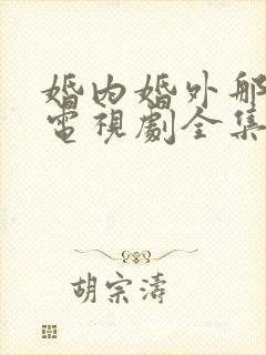 婚内婚外那些事电视剧全集免费观看高清