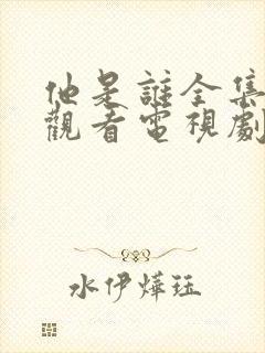 他是谁全集免费观看电视剧高清封面