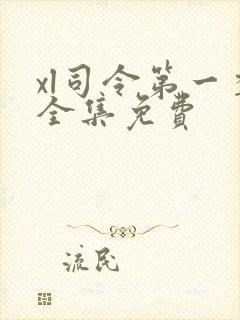 xl司令第一季全集免费