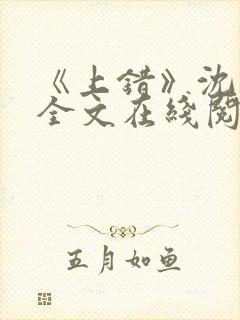 《上错》沈南初全文在线阅读笔趣阁