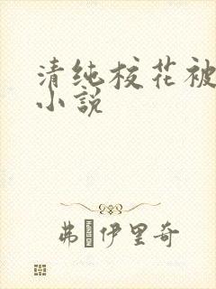 清纯校花被后入小说