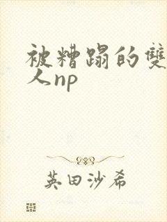 被糟蹋的双性美人np封面