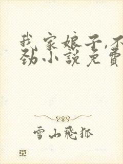 我家娘子,不对劲小说免费阅读